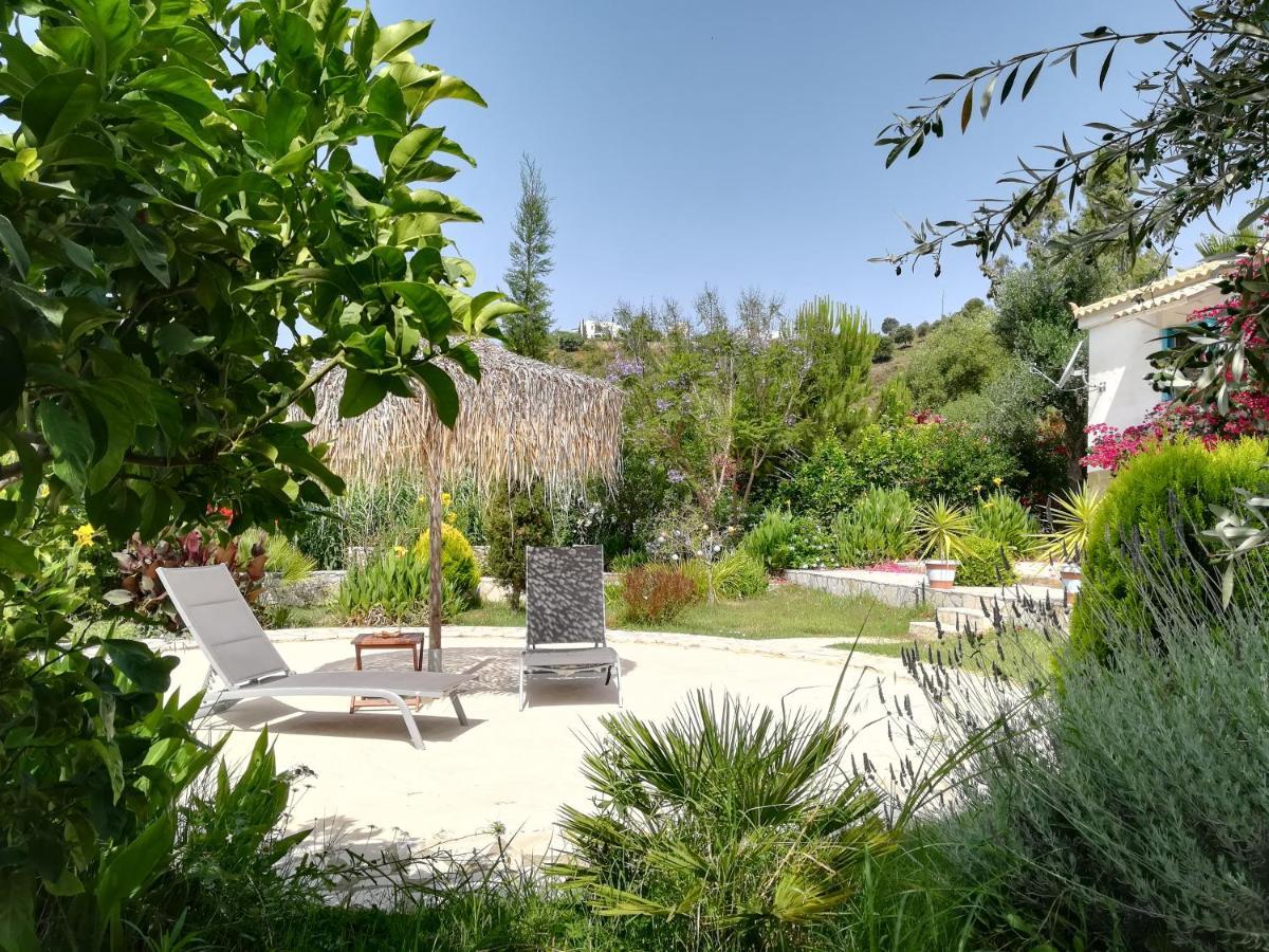 Lemon Tree Cottage فينيكونتا المظهر الخارجي الصورة