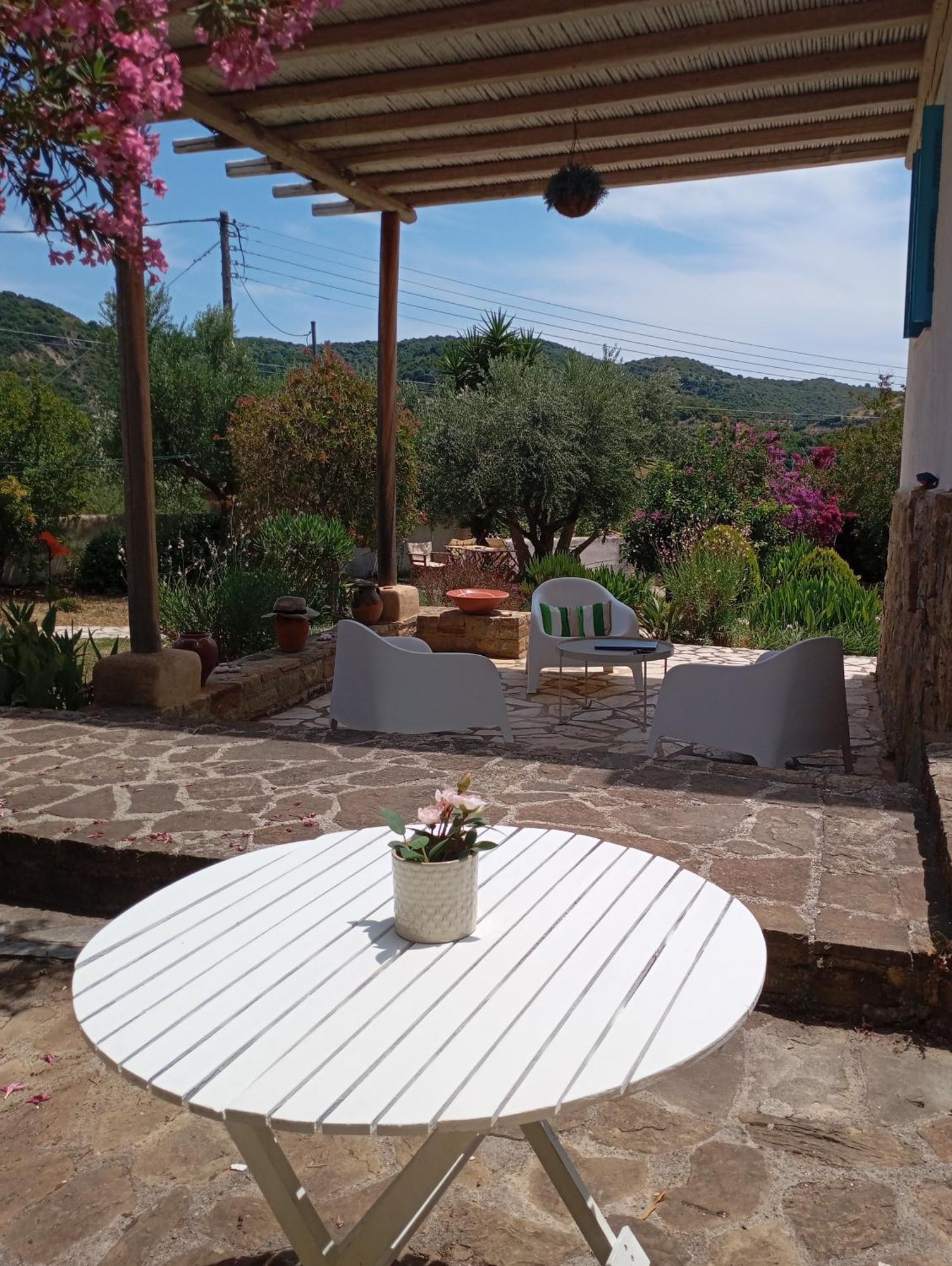 Lemon Tree Cottage فينيكونتا المظهر الخارجي الصورة