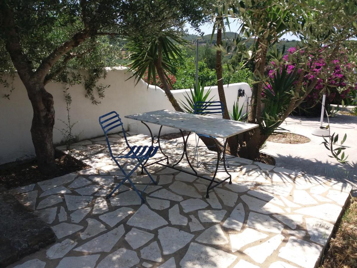 Lemon Tree Cottage فينيكونتا المظهر الخارجي الصورة